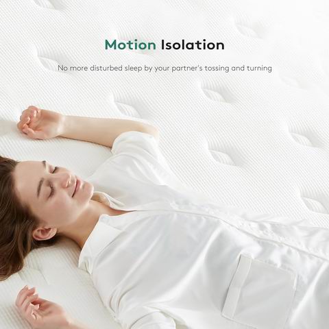 史低价!Zeelovtress 14英寸Full Size 混合床垫 344.99加元(原价 689.99加元)