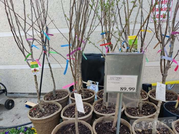 独家！【加东版】Costco店内实拍，有效期至5月10日！烟熏三文鱼.99、火锅鱼豆腐.99、哈密瓜.99、雅顿面霜.99、五花肉减、鸡腿减、鲜虾减、燕麦保湿.99！