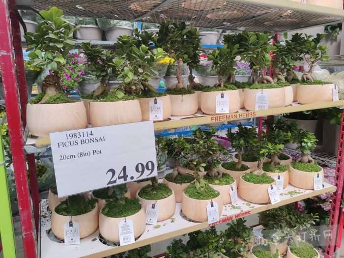 独家！【加东版】Costco店内实拍，有效期至5月10日！烟熏三文鱼.99、火锅鱼豆腐.99、哈密瓜.99、雅顿面霜.99、五花肉减、鸡腿减、鲜虾减、燕麦保湿.99！