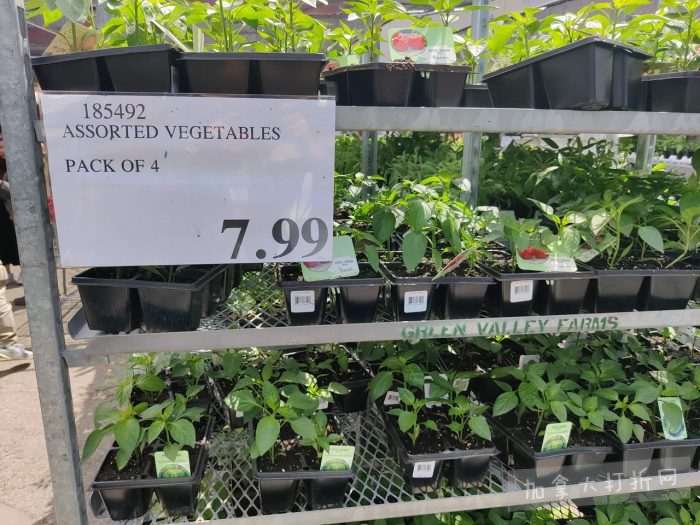 独家!【加东版】Costco店内实拍,有效期至5月17日!免费薅iPhone Air、网红芝麻酱.99、雅顿眼胶.99、冻三文鱼.99、哈根达斯.99、香蕉船防晒.99、水牙线.99、卫生巾.49!