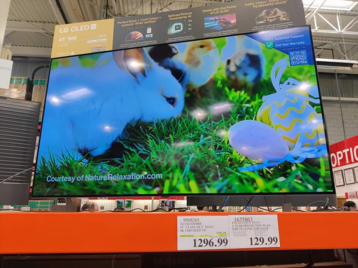 独家!【加东版】Costco店内实拍,有效期至5月24日!澳洲羊腿减、免费薅iPhone、雅顿眼胶.99、追觅扫地机器人9.99、鲜虾减、空气循环扇.99、护肝片.99、FIFA背包.99!