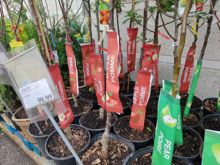 独家!【加东版】Costco店内实拍,有效期至5月24日!澳洲羊腿减、免费薅iPhone、雅顿眼胶.99、追觅扫地机器人9.99、鲜虾减、空气循环扇.99、护肝片.99、FIFA背包.99!