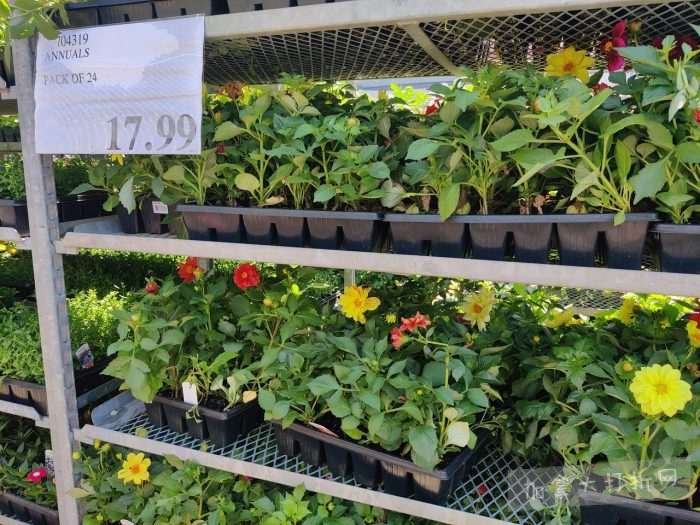 独家!【加东版】Costco店内实拍,有效期至5月31日!大量服饰.97起、有机蜂蜜.99、虾片.99、加拿大夹克.97、玻璃保鲜盒.99、蚊虫止痒器.99、圆筒冰淇淋.99!