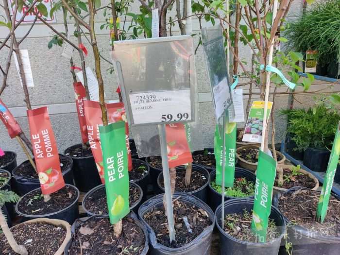独家!【加东版】Costco店内实拍,有效期至5月31日!大量服饰.97起、有机蜂蜜.99、虾片.99、加拿大夹克.97、玻璃保鲜盒.99、蚊虫止痒器.99、圆筒冰淇淋.99!